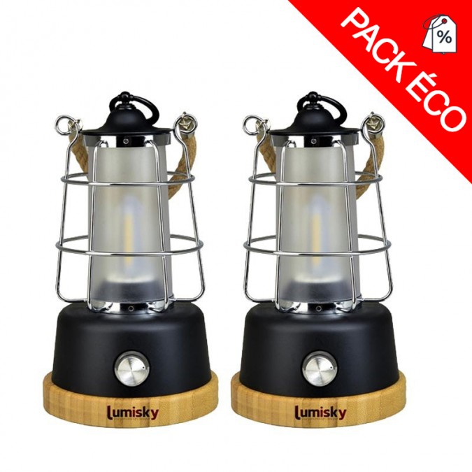 Lot de 2 lanternes lumineuses LED WILDY