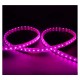 Bobine led 5050 RGB 50 metres 8w/m 230V ip65