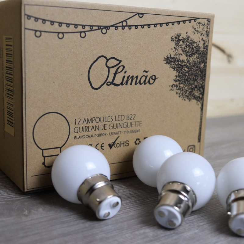 Pack de 5 ampoules B22 LED BLAN CHAUD- type guinguette - Festivitré